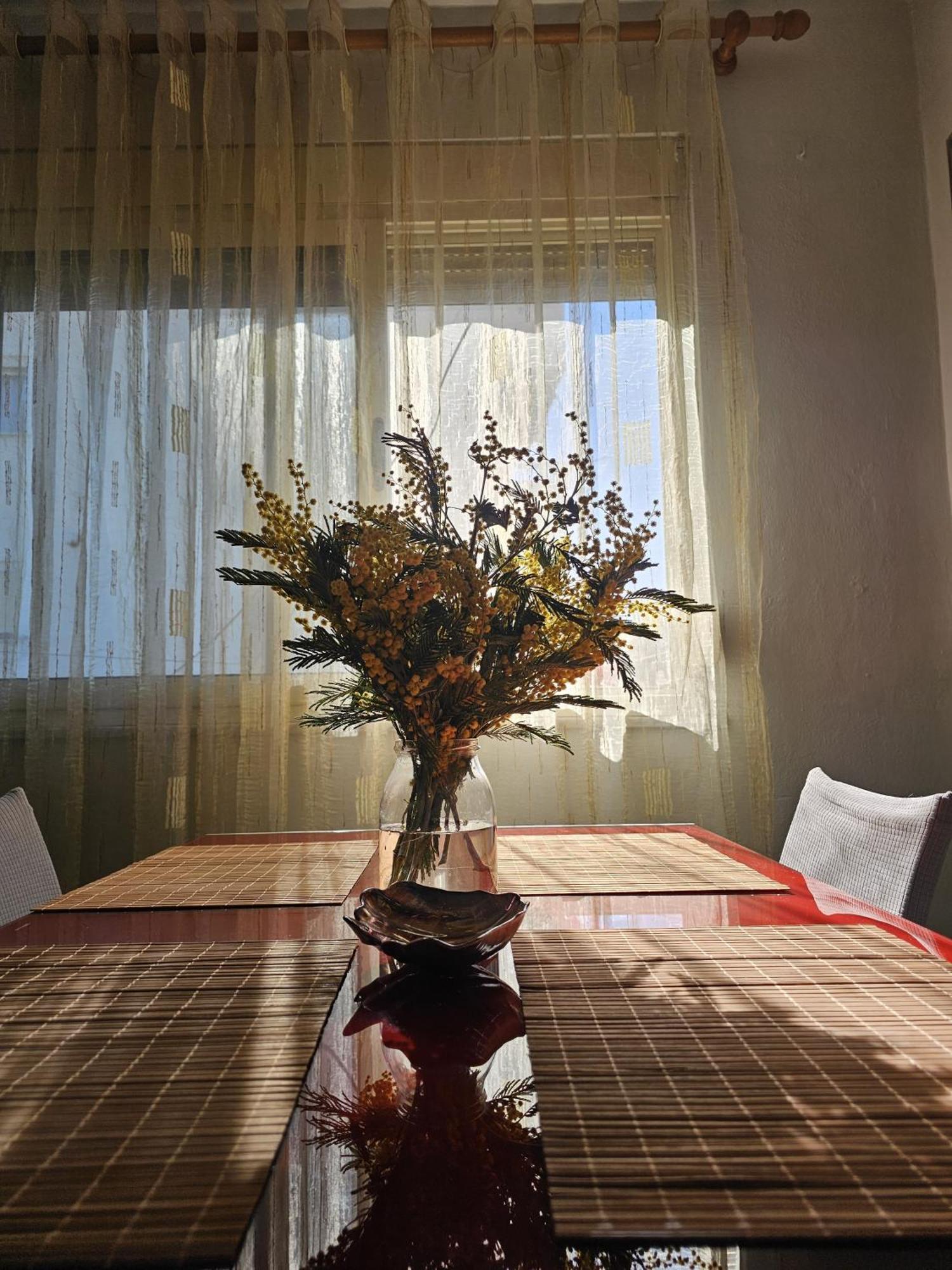 Library Apartment By Bohem Rentals Durrës 외부 사진